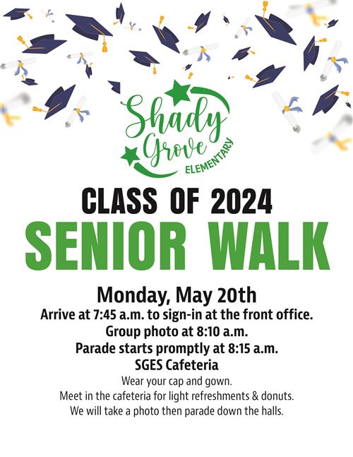 senior walk flyer